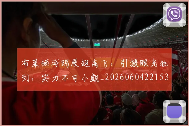 布莱顿海鸥展翅高飞，引援眼光独到，实力不可小觑_20260604221537