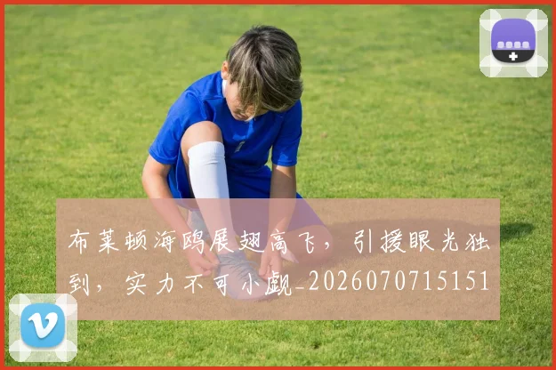 布莱顿海鸥展翅高飞,引援眼光独到,实力不可小觑_20260707151510