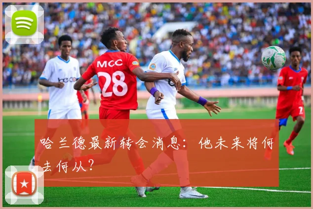 哈兰德最新转会消息:他未来将何去何从?