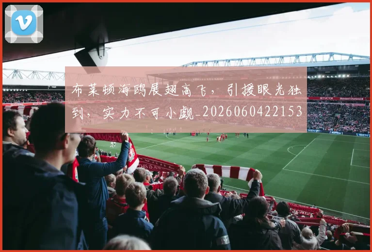 布莱顿海鸥展翅高飞,引援眼光独到,实力不可小觑_20260604221537